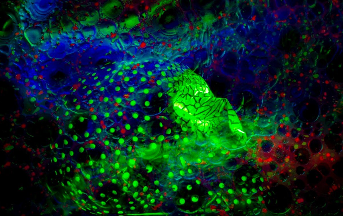 Néstor Patiño Rubiano 3