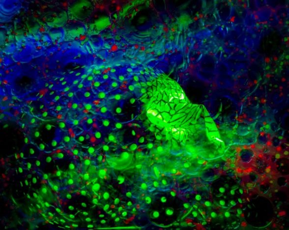 Néstor Patiño Rubiano 3